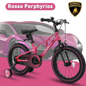 【全国送料無料】子供用自転車 4歳 5歳 6歳 7歳 8歳 9歳 10歳 Lamborghini (ランボルギーニ) 14インチ 16インチ 18インチ 補助輪 スタンド 泥除け 超軽量マグネシウム素材 子供自転車 幼児自転車 入学祝い 卒業祝い 進級祝い 誕生日