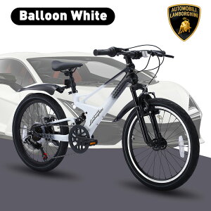 Lamborghini ({M[j) WjAEq]20C` }EeoCN yʃ}OlVEf ϑ7i OTXyV g135cmȏK IVŃJbRfUC