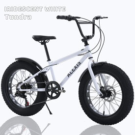 【完成車お届け可能】ACEXIS ファットバイク Fat City Cruiser BMX 自転車 シティ ビーチクルーザー フリースタイル 街乗り 20インチ サイドスタンド ディスクブレーキ