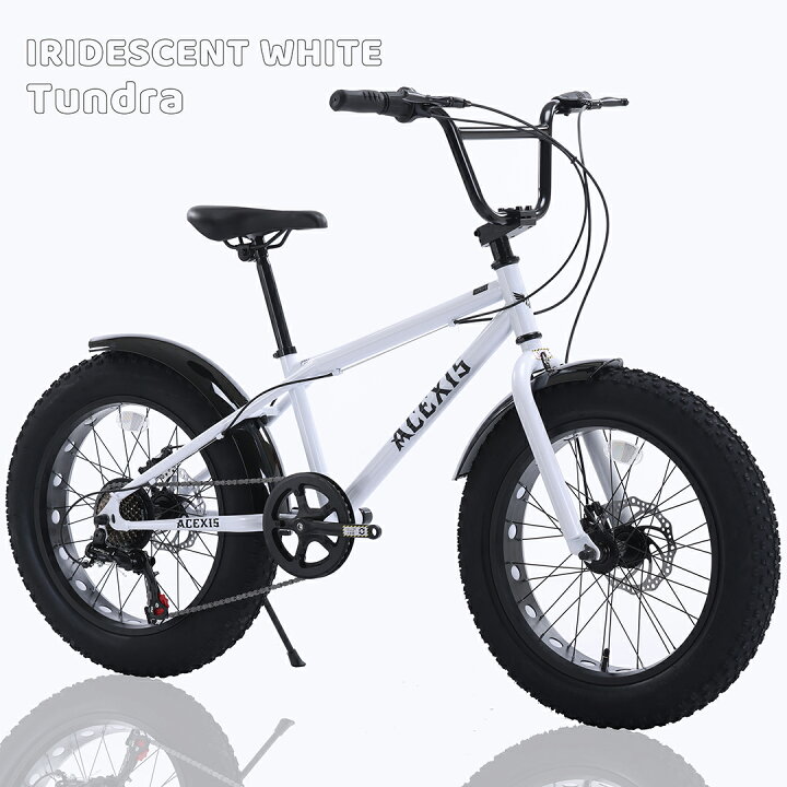 楽天市場】【新生活応援特価2,000円OFF！】【完成車お届け可能】ACEXIS 