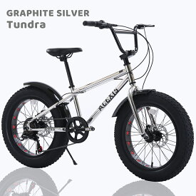 【スーパーセール！ポイント5倍実施中！】ACEXIS ファットバイク Fat City Cruiser BMX 自転車 シティ ビーチクルーザー フリースタイル 街乗り 20インチ サイドスタンド ディスクブレーキ