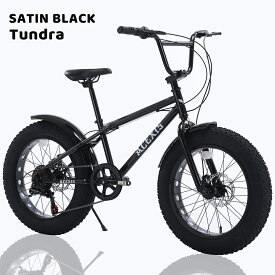 【スーパーセール！ポイント5倍実施中！】ACEXIS ファットバイク Fat City Cruiser BMX 自転車 シティ ビーチクルーザー フリースタイル 街乗り 20インチ サイドスタンド ディスクブレーキ