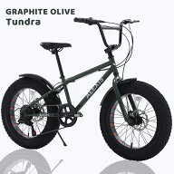 【完成車お届け可能】ACEXIS ファットバイク Fat City Cruiser BMX 自転車 シティ ビーチクルーザー フリ…