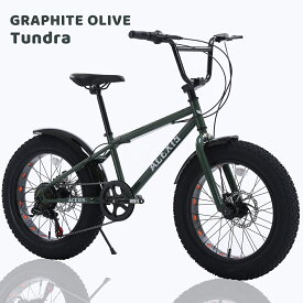 【スーパーセール！ポイント5倍実施中！】ACEXIS ファットバイク Fat City Cruiser BMX 自転車 シティ ビーチクルーザー フリースタイル 街乗り 20インチ サイドスタンド ディスクブレーキ