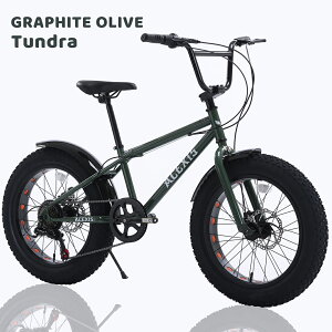 ACEXIS �t�@�b�g�o�C�N Fat City Cruiser BMX ���]�� �V�e�B �r�[�`�N���[�U�[ �t���[�X�^�C�� �X��� 20�C���` �T�C�h�X�^���h �f�B�X�N�u���[�L