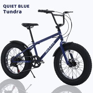 【完成車お届け可能】ACEXIS ファットバイク Fat City Cruiser BMX 自転車 シティ ビーチクルーザー フリ…