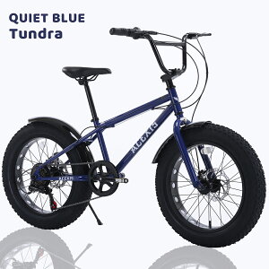 ACEXIS �t�@�b�g�o�C�N Fat City Cruiser BMX ���]�� �V�e�B �r�[�`�N���[�U�[ �t���[�X�^�C�� �X��� 20�C���` �T�C�h�X�^���h �f�B�X�N�u���[�L