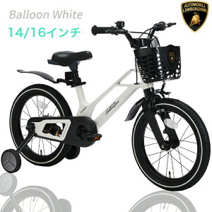 自転車 ランボルギーニ」の人気商品一覧・価格比較 - 価格.com