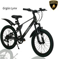 楽天市場】ランボルギーニ 折りたたみ 自転車 20 インチの通販