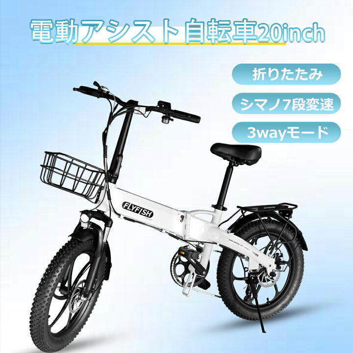 楽天市場】楽天最安値挑戦【型式認定済 公道可】 FLYFISH 20インチ 