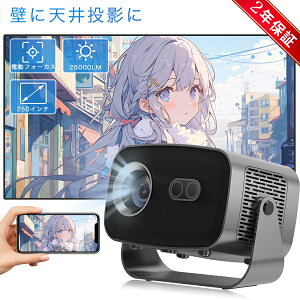 vWFN^[ ƒp dtH[JX ^ V䓊e X}zƌq 4KΉ  26000LMPx Netflix/YouTubeb Android 13 É `␳ y 5G wi-fi 6 z[VA^[ q  V HDMIP[