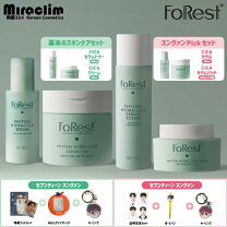 楽天市場】the saem seventeenの通販
