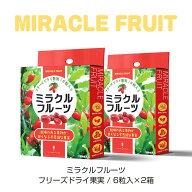 新パッケージ ミラクルフルーツフリーズドライ果実 6粒入×2箱 フリーズドライ果実