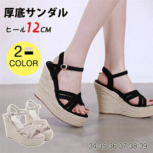 T_ fB[X EFbWT_ XgbvT_ ₷ EFbW\[ 12CMq[ gAbv Ȃ y O ʋ ʊw s  ؍