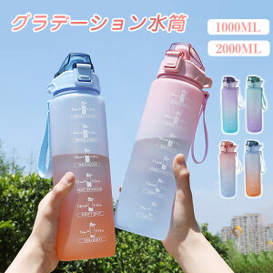 ySSԌP10{zEH[^[{g X|[c{g ^C}[J[t 1000ml 2000ml  e  y Xg[t ڐ 킢 1bg  Xg[ {g AEgh