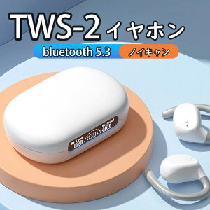 TWS-2`Cz CXCz C[Jt Cz ǂȂ u[gD[X Cz Bluetooth 5.3 LEDdʕ\ iPhone/Android/Ή uڑ 58HAĐ Type]C[d I[vC[