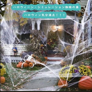 ySSP5{znEB w偂̑ w偂̎ N 6  t ~ XpC_[EFu ObY RXv p[eB[@ObY