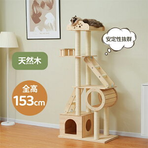 ySSԌP10{zy2-4cƓzLbg^[ ؐ u^ 153cm VR L^[LnEX B W] Ki ܂Ƃ ^s lR^[  lR ^[ 芴 