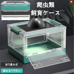 折り畳み式 爬虫類 飼育ケース 小型 トカゲ ケージ 透明 亀 トカゲ クモ ヤモリ ハリネズミ サソリ ヘビ カエル ハムスター などの動物に適用 レオパ ヒョウモントカゲモドキ クレス クレス