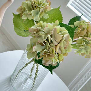 AWTC nChWA  O[ yz y3{Zbgzz O[ IWifUC ԑ  u[P  MODERN CeA VNt[ A[eBVt[ t