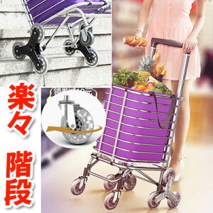 J[g VbsOJ[g KiJ[g L[J[g 8 obO[DD00007]