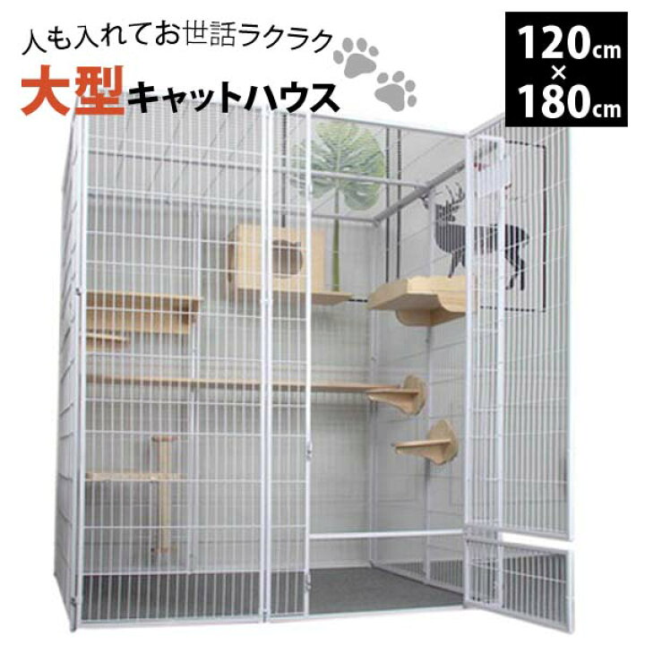 楽天市場】大型キャットハウス キャットハウス 特大 大型 一緒に入れる 