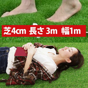 AlH3m Aȃ[lH lH |G` |vs J[ybg 3m×1m ŏ4cm St StK p^[ K St}bg }bg[GM00009]