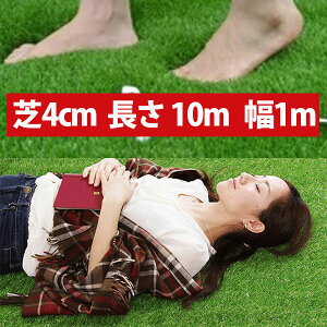 AlH10m Aȃ[lH lH |G` |vs J[ybg 10m×1m ŏ4cm St StK p^[ K St}bg }bg[GM00017]