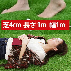 AlH1m 1m×1m ŏ4cm St StK p^[ K St}bg }bg Aȃ[lH lH |G` |vs J[ybg [GM00021]