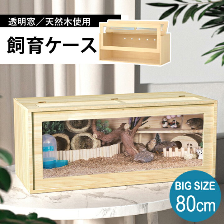 楽天市場 飼育ケース80cm 飼育ケース 飼育ケージ 大型ケージ ケージ 前開き 上開き おしゃれ 組み立て式 アクリルケース 木 ハムスター 小動物 爬虫類 Big 80cm Pp セレクトグッズ ミラージュ