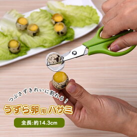 【送料無料】うずら卵専用 カッター ハサミ ステンレス 簡単 殻割り キッチン ツール 黄身 卵 トッピング 便利 調理補助 家庭用 業務用
