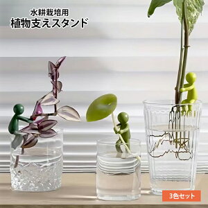  l^ vcX^h k͔|p A x x CeA G 3FZbg fXN⎺ɍœK n fUC K[fjO ObY