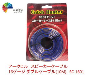 A[Nq Catch Hunter(Lb`n^[) 16Q[W Xs[J[P[u SC-1601