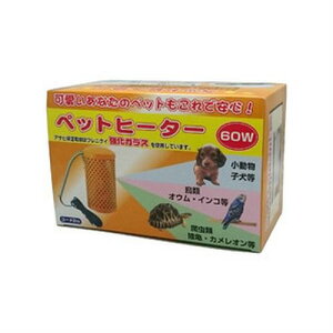 yATqdqzۉpi@ybgq[^[@60W