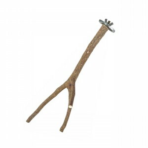 yOWzo[hpi ~܂ p[`@j[̂Ƃ܂؁@u`