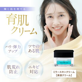 【公式】 Li'a beauty ミラースキンクリーム 30g 高保湿 クリーム エイジングケア ハリ ツヤ ニキビ 抗炎症 UVケア