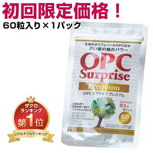 ySȂxłvIz|tFm[ Tv OPCTvCYv~A _CGbg Tvg i60/1pbNjopc