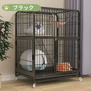 BIMITI L P[W ˂ LbgP[W Lbg  킢 tȒP nEX  Lp LX^[t ˂P[W ^ LP[W ܂肽 lRnEX  Eh~ Nۏ