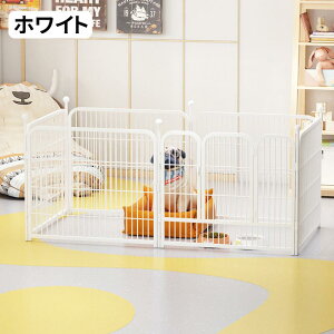 y}\500~N[|zzz BIMITI Q[W ybg T[N ybgtFX tFX ybgP[W ybgT[N܂ݎ WCg Op Hsv `g