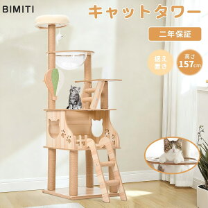 y}\500~N[|zzz BIMITI Lbg^[ L^[ Lbgc[ ؐ u   ^L FD u^ ܂Ƃ|[ ȃXy[X 萫  