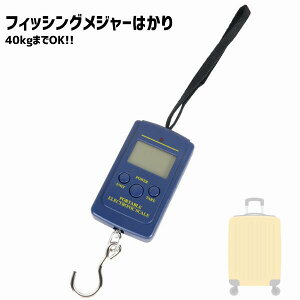 tBbVO ͂ s W[ XP[ fW^XP[ ނ ݂͂  W[XebJ[ 1m 40kg