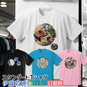 TVc ɓt CircleyE̖z  Vc hC  z fB[X Y jZbNX {恙 zh A\G ]ˎ A  ʎ art G |p   Ap