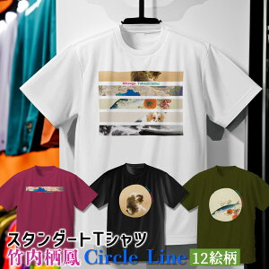 TVc |P CircleyE̖z  Vc hC  z fB[X Y jZbNX {恙 L lR ʎ AY   { a a art G |p  