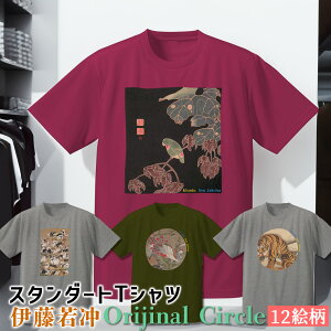 TVc ɓt Orijinal CricleyE̖z  Vc fB[X Y jZbNX LbY {恙 zh A\G ]ˎ A  ʎ art G |p   Ap 