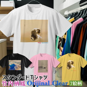 TVc |P OrijinalyE̖z  Vc hC  z fB[X Y jZbNX {恙 L lR ʎ AY   { a a art G |p  