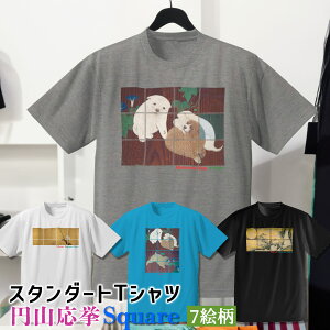 TVc ~R SquareyE̖z  Vc hC  z fB[X Y jZbNX {恙  a a art G |p   Ap ȑf 