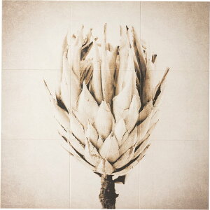 GRJbg Zt Flower ECSF-1260S/117 ECSF-9090S/117 LIXIL NV INAX