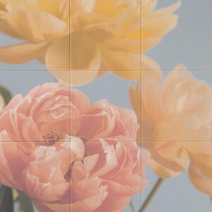 GRJbg Zt Flower ECSF-1260S/120 ECSF-9090S/120 LIXIL NV INAX