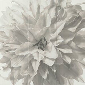 GRJbg Zt Flower ECSF-1260S/14 ECSF-9090S/14 LIXIL NV INAX