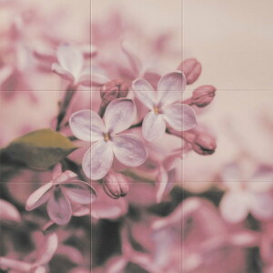 GRJbg Zt Flower ECSF-1260S/301 ECSF-9090S/301 LIXIL NV INAX